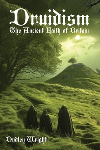 Enlarge image Cover: Druidism - Arabi Manor