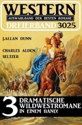 Cover: Western Dreierband 3025 - 3 dramatische Wildwestromane in einem Band - Alfredbooks