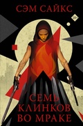Cover: Sem klinkov vo mrake - Ast