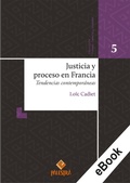 Cover: Justicia y proceso en Francia - Palestra Editores