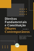 Cover: Direitos fundamentais e constitui&ccedil;&atilde;o - Editora CRV