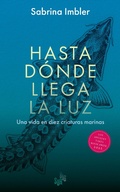 Cover: Hasta d&oacute;nde llega la luz - BIG SUR