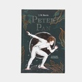 Cover: Peter Pan - Panamericana Editorial
