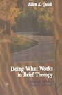 Cover: Doing What Works in Brief Therapy - Academic Press