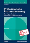 Cover: Professionelle Prozessberatung - Haupt Verlag