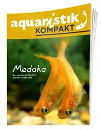 Abbildung von: Medaka - aquaristik KOMPAKT - Dähne Verlag