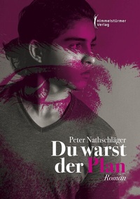 Abbildung von: Du warst der Plan - Himmelstürmer