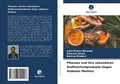 Cover: Pflanzen und ihre sekundaeren Stoffwechselprodukte Gegen Diabetes Mellitus - Verlag Unser Wissen