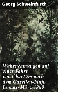 Abbildung von: Wahrnehmungen auf einer Fahrt von Chartum nach dem Gazellen-Fluß, Januar-März 1869 - Good Press