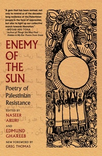 Bild: Enemy of the Sun - Seven Stories Press