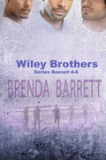 Cover: Wiley Brothers Boxset Book 4-6 (Wiley Brothers Series, #2) - Jamaica Treasures Books