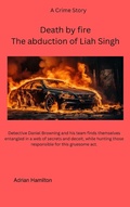 Cover: Death by fire - Adrian Hamilton