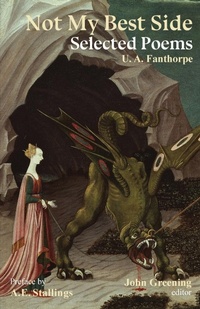 Enlarge image Cover: Not My Best Side - Baylor University Press