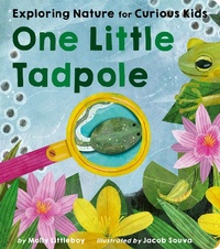 Enlarge image Cover: One Little Tadpole - Tiger Tales