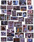Cover: THE CHIPS: UKRAINIAN NA?VE MOSAICS OF THE 1950-90S - IST Publishing