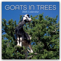 Abbildung von: Goats in Trees - Ziegen auf Bäumen 2025 - 16-Monatskalender - Brown Trout-Auslieferer Flechsig