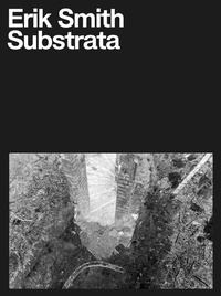 Enlarge image Cover: Substrata - permanent Verlag