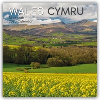Abbildung von: Wales 2025 - 16-Monatskalender - Brown Trout-Auslieferer Flechsig