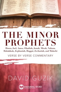 Enlarge image Cover: Minor Prophets - Enduring Word Media