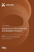 Cover: Advances on Fine Particles and Bubbles Flotation - MDPI AG