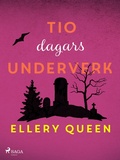 Cover: Tio dagars underverk - Saga Egmont