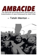 Cover: Ambacide - Langaa RPCID