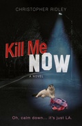Cover: Kill Me Now - Quincy Beauty Publishing