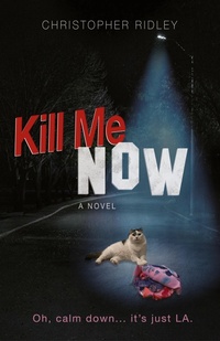 Enlarge image Cover: Kill Me Now - Quincy Beauty Publishing