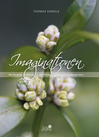 Abbildung von: Imaginationen - Windpferd