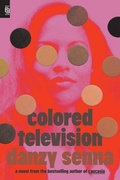 Cover: Colored Television - Riverhead Books