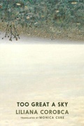 Cover: Too Great A Sky - Seven Stories Press UK