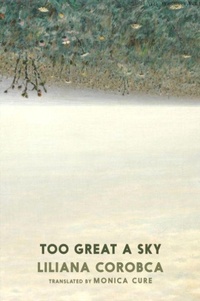 Enlarge image Cover: Too Great A Sky - Seven Stories Press UK