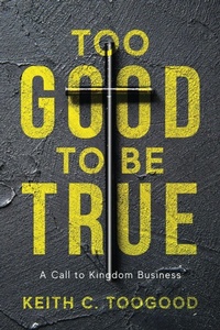 Enlarge image Cover: Too Good to be True - Illumify Media
