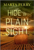 Cover: Hide in Plain Sight - Love Inspired Suspense