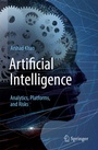 Cover: Artificial Intelligence: Analytics, Platforms, and Risks - Springer