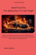 Cover: Death by fire - Adrian Hamilton