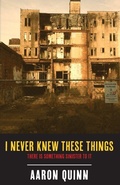 Cover: I Never Knew These Things - Walnut Street Publishing