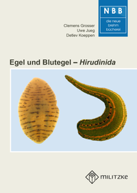 Abbildung von: Egel und Blutegel - Militzke Verlag GmbH