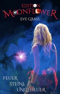 Cover: Feuer - Steine - Ungeheuer - Shadodex - Verlag der Schatten