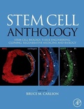 Cover: Stem Cell Anthology - Academic Press