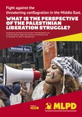 Cover: What is the perspective of the palestinian liberation struggle? - Verlag Neuer Weg