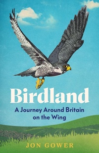 Enlarge image Cover: Birdland - HarperNorth