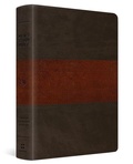 Cover: ESV Men's Study Bible - Crossway Books