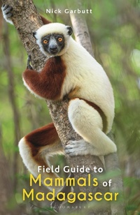 Abbildung von: Field Guide to Mammals of Madagascar - Bloomsbury Wildlife