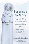Cover: Surprised by Mary - Wipf and Stock Publishers