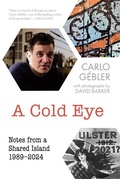 Cover: A Cold Eye - New Island Books