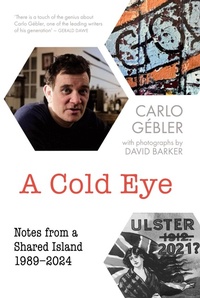 Enlarge image Cover: A Cold Eye - New Island Books