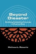 Cover: Beyond Disaster - Northwestern University Press