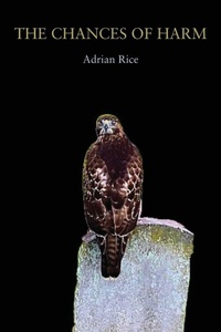 Enlarge image Cover: The Chances of Harm - Press 53