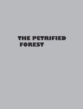 Cover: The Petrified Forest - Blurb